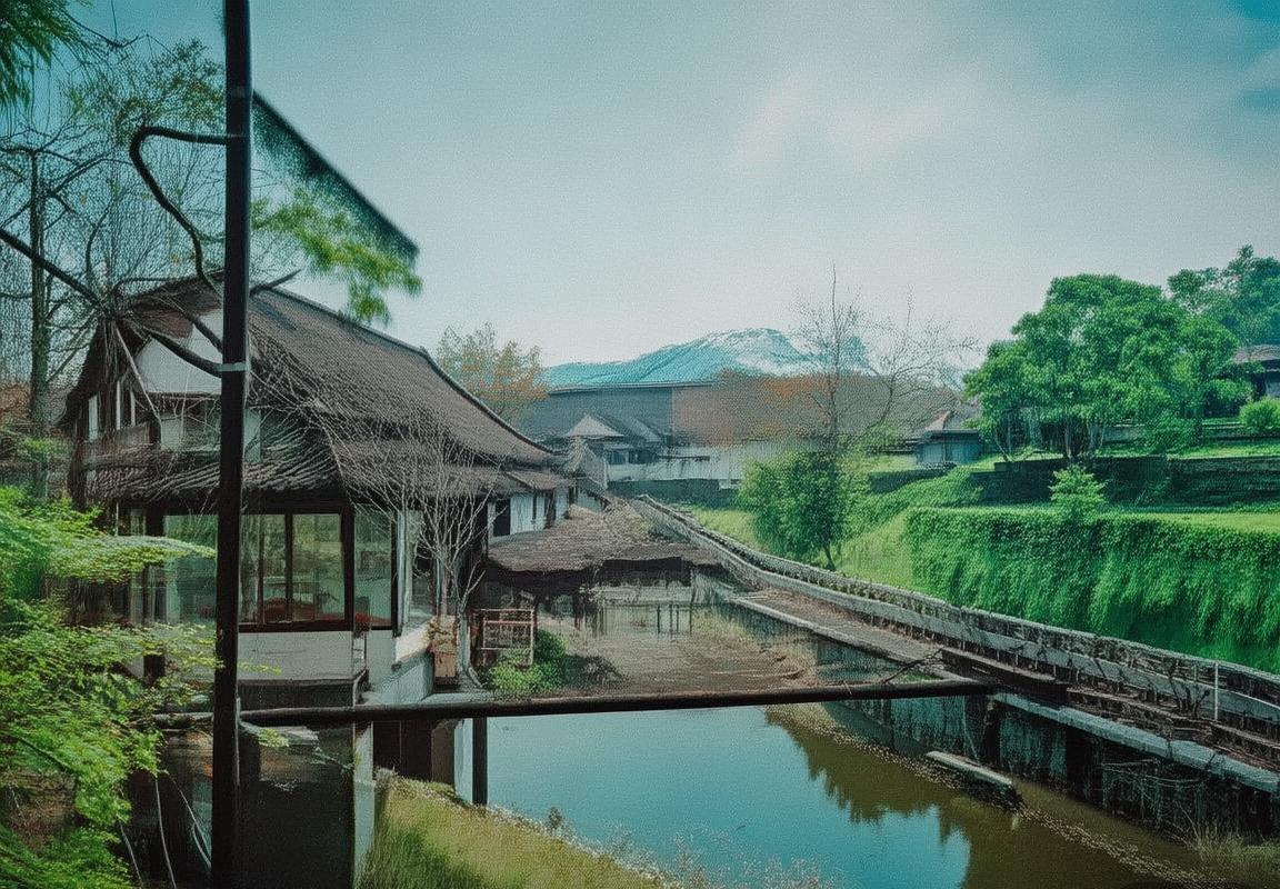 2024守望先锋世界杯确认将于暴雪嘉年华期间举行